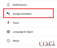 مساعد جوجل باللغة العربية