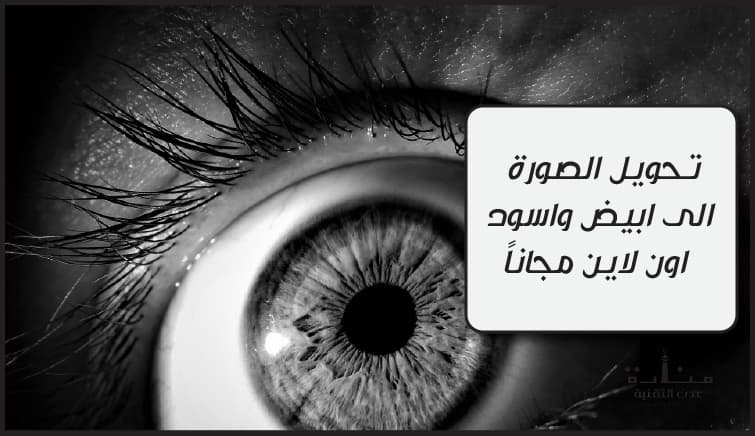 تحويل الصورة الى ابيض واسود اون لاين مجاناً