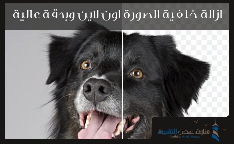 موقع ازالة الخلفية من الصورة - ازالة خلفية الصورة اون لاين وبدقة عالية