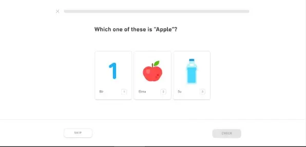 Duolingo هي من أقوى منصات تعليم اللغة التركية من الصفر إلى الاحترافية