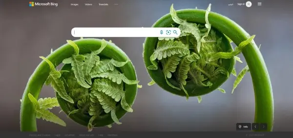 Bing Image هو محركات البحث عن طريق الصور الأشهر في أمريكا