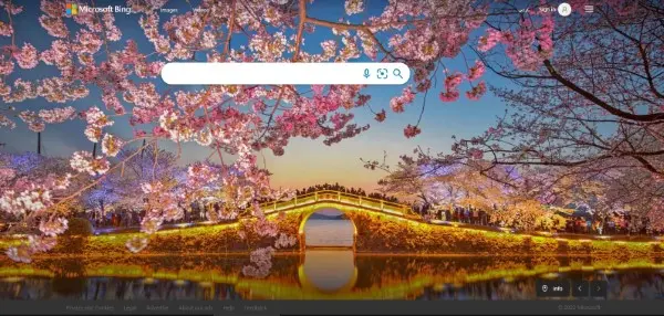 Bing هو المنافس الحقيقي والمباشر لمحرك بحث جوجل