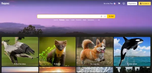 Yandex Image هو محرك بحث روسي للصور مجاني