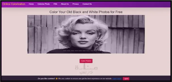 Onlinecolorization هو موقع لتلوين صورة قديمة