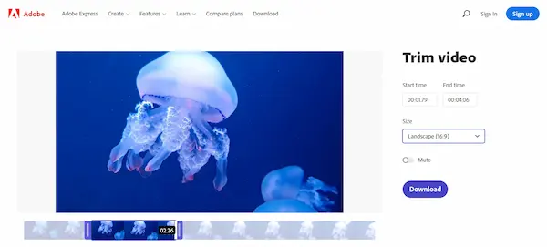 Adobe Express هي أداة قوية تابعة لشركة أدوبي