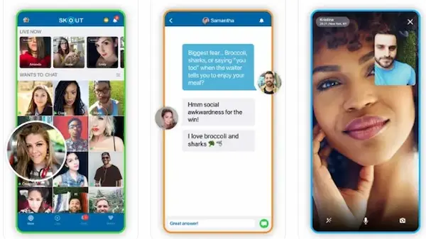 Skout